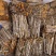 恩施大山深处老树皮无硫原生态正品黄柏皮