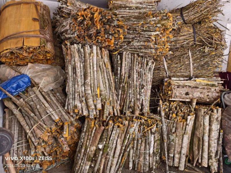 恩施大山深处老树皮无硫原生态正品黄柏皮