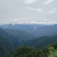 恩施大山深处老树皮无硫原生态正品黄柏皮