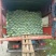 《扁包菜》湖北甘蓝，湖北扁包菜，对接商超批发商线下档口