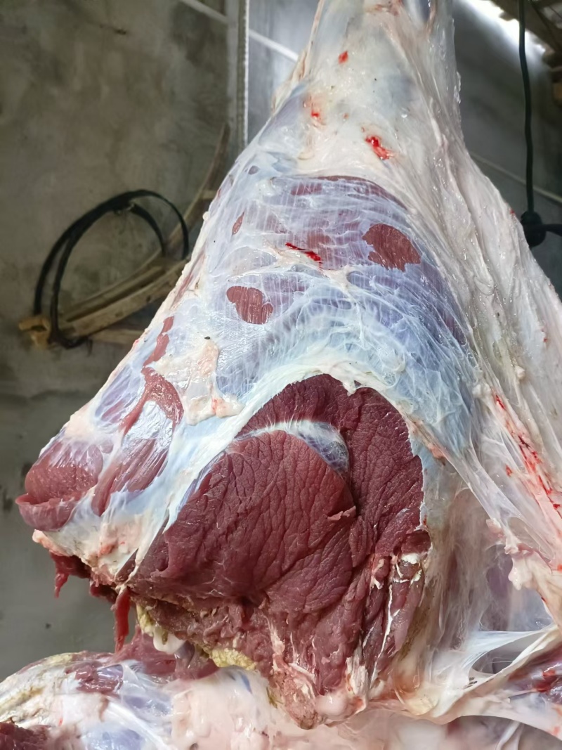 精品新鲜牛肉，自家养殖，品质保证，绝不注水，假一赔十。