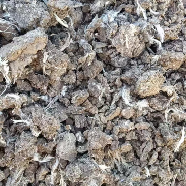 干鸡粪，干鸡粪，干鸡粪，干鸡粪，干鸡粪，干鸡粪，干鸡粪，