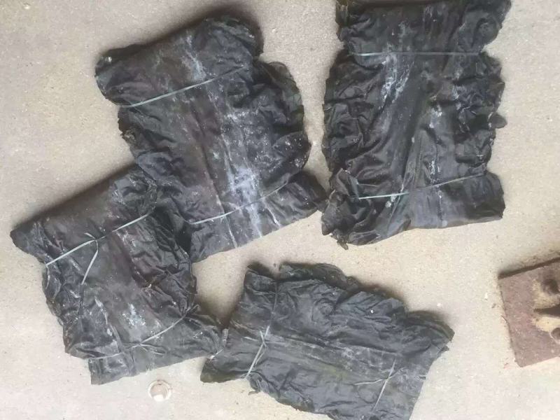 干海带短板菜二俩片三俩片一棵菜海带海带片三十公分产地直供