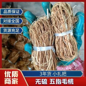 广西无硫五指毛桃3年货小扎把自然晾晒香味浓