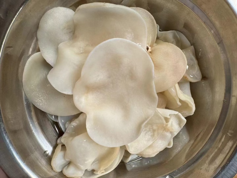 山东木耳白玉木耳工厂直发常年有货各种价格都有一手价格便宜