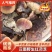 云南野生灵芝包邮,货源充足,质量保证,量大欢迎致电咨询