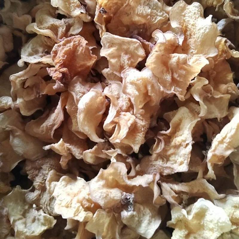 山东精品羊肚耳干净无杂泡发好个头大承接餐饮酒店食堂全面供