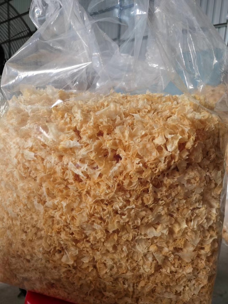 山东精品羊肚耳干净无杂泡发好个头大承接餐饮酒店食堂全面供