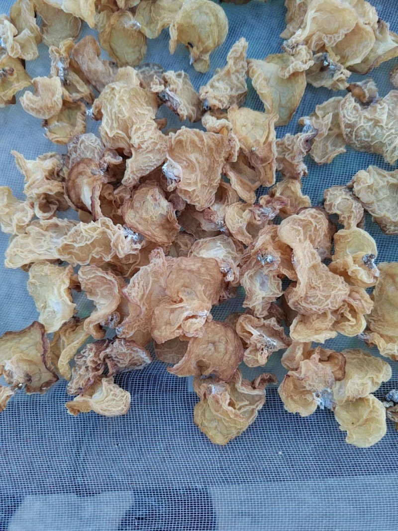 山东精品羊肚耳干净无杂泡发好个头大承接餐饮酒店食堂全面供