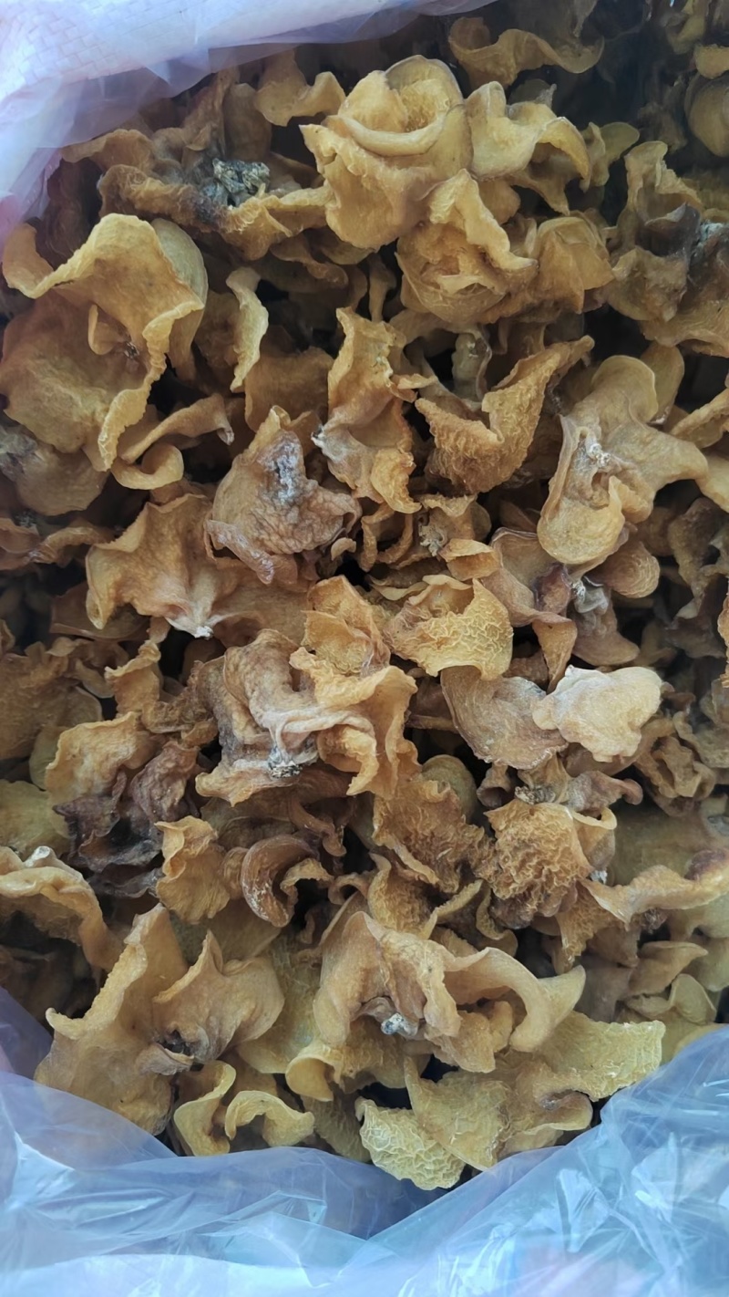 山东精品羊肚耳干净无杂泡发好个头大承接餐饮酒店食堂全面供