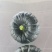 【山东精品贝贝南瓜】基地直供质量保证量大优惠欢迎订购