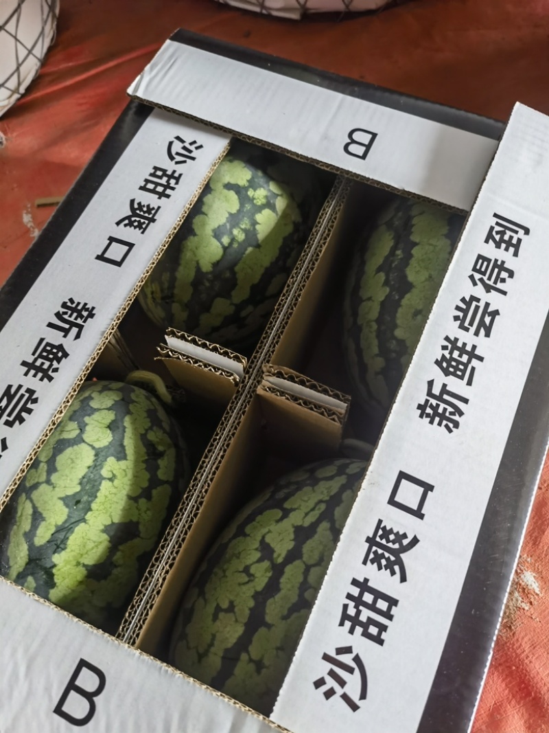 大量供应江苏盐城麒麟西瓜，无籽美都