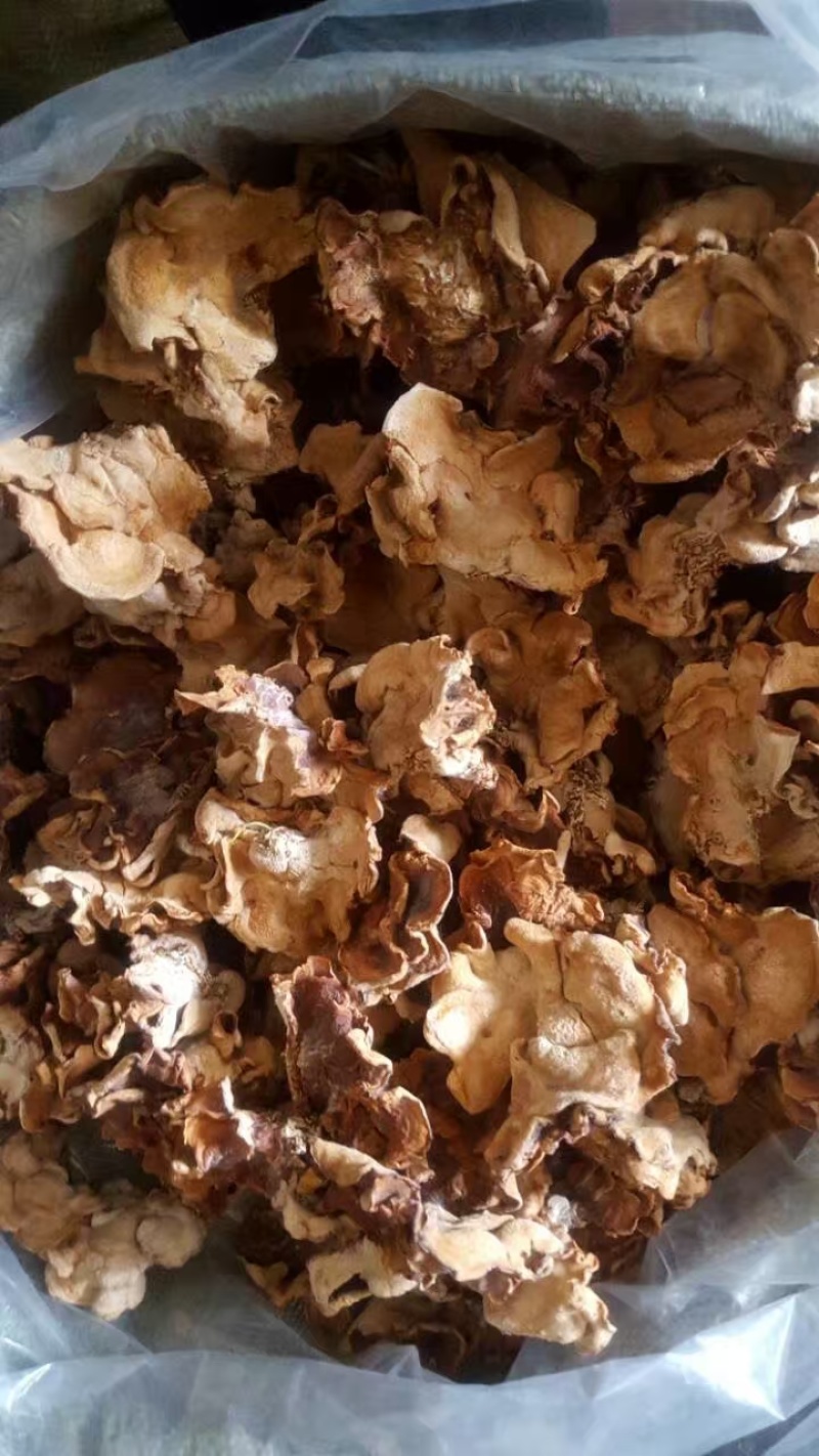 山东干货榆耳菌规格齐全按需求分拣