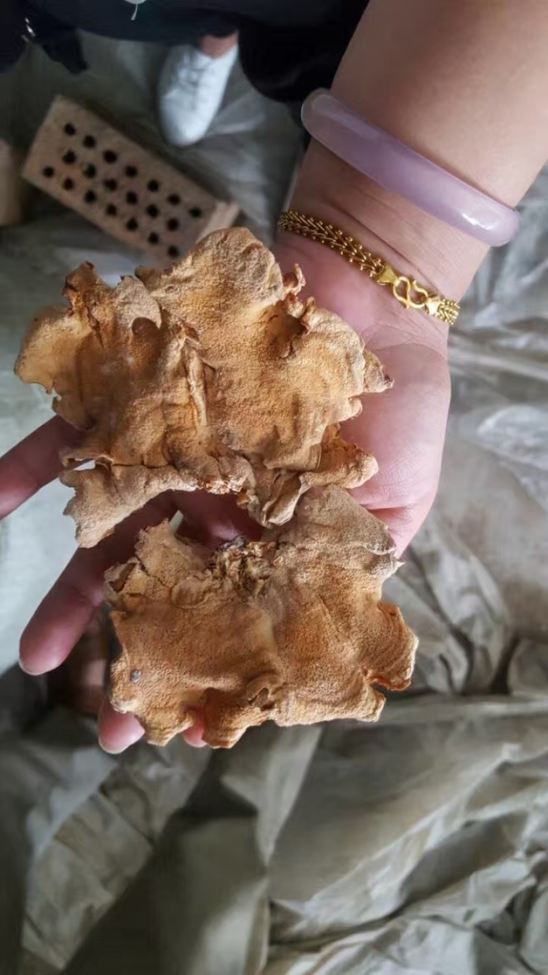 山东干货榆耳菌规格齐全按需求分拣