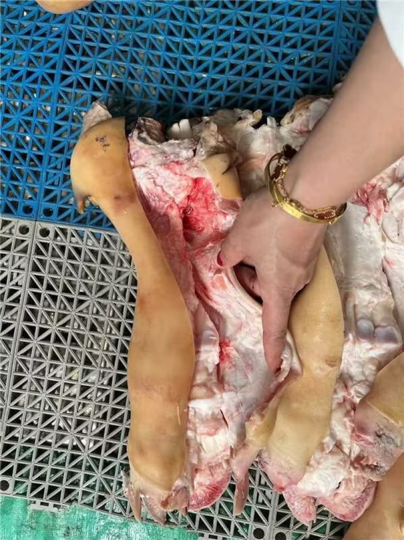 全去骨牛蹄精品牛蹄现货供应厂家直发