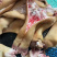 全去骨牛蹄精品牛蹄现货供应厂家直发