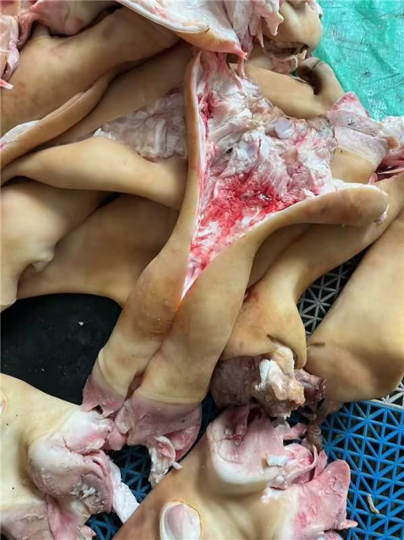 全去骨牛蹄精品牛蹄现货供应厂家直发