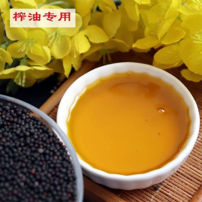 【油菜籽】产地批发大量供应自家种植品质纯正量大从