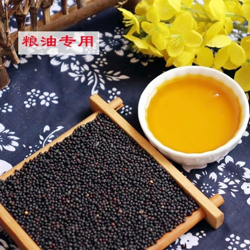 【油菜籽】产地批发大量供应自家种植品质纯正量大从