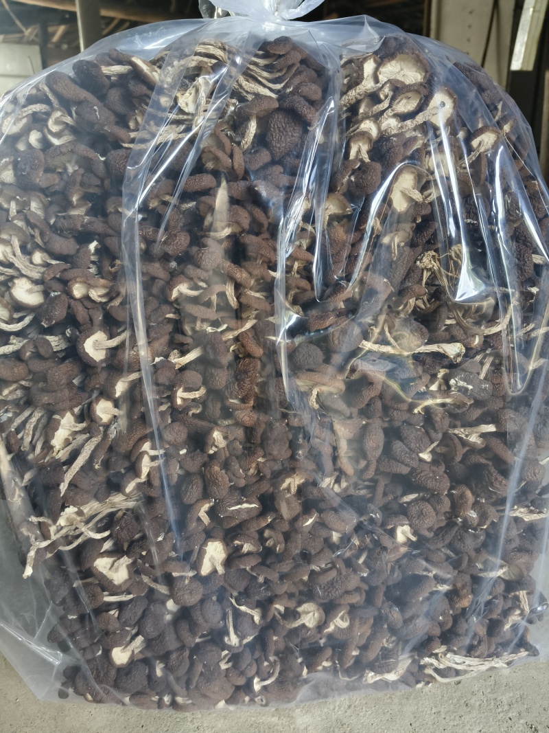 江西广昌茶树菇精品5号茶树菇茶薪菇干货食用菌