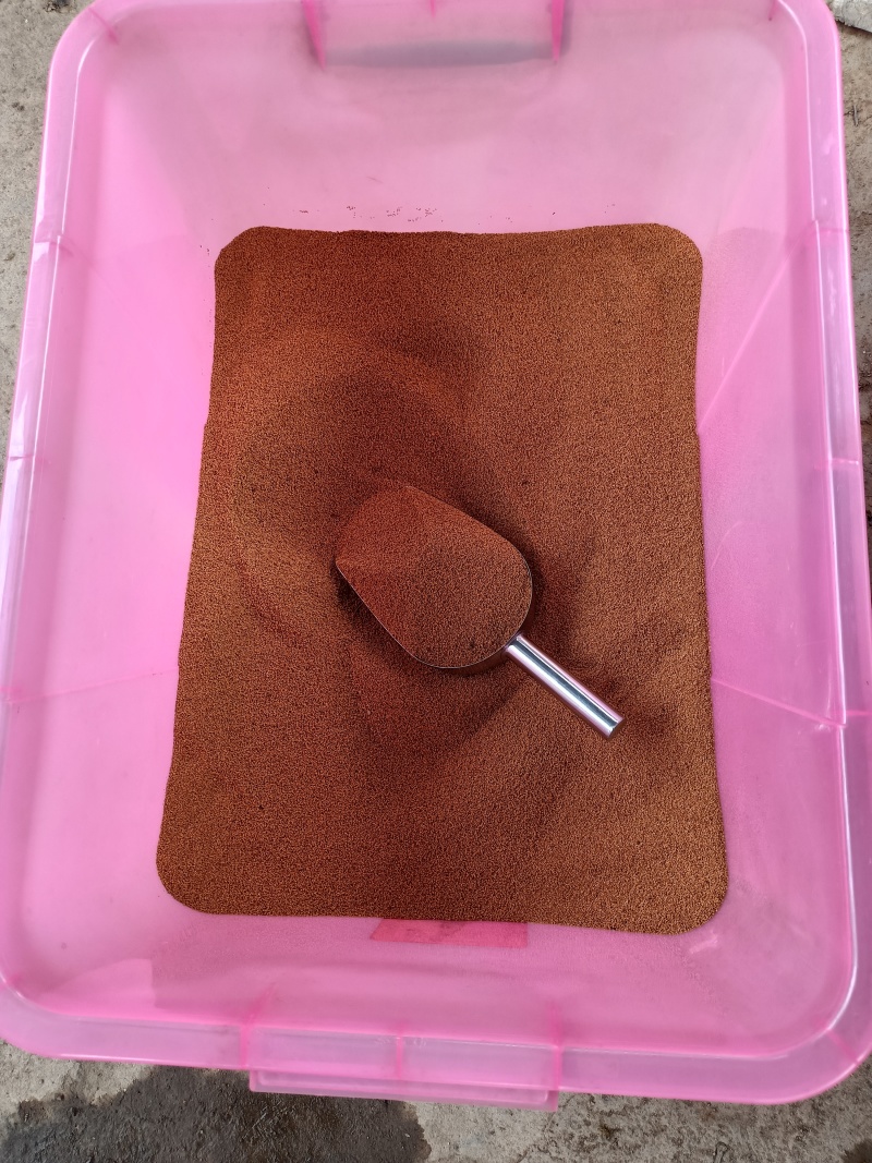 新鲜五指毛桃种子发芽率高，品质有保证，量大从优