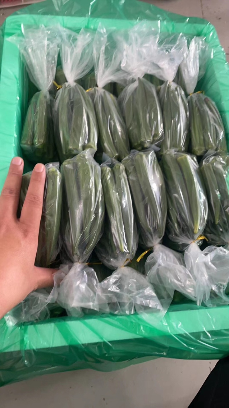 精品福建秋葵，精品散装袋装水果秋葵。基地直供。