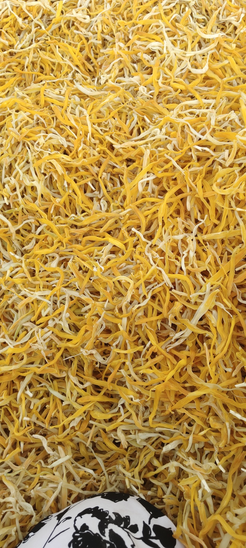 干黄花菜精品保鲜黄花菜颜色好干度干质量有保障