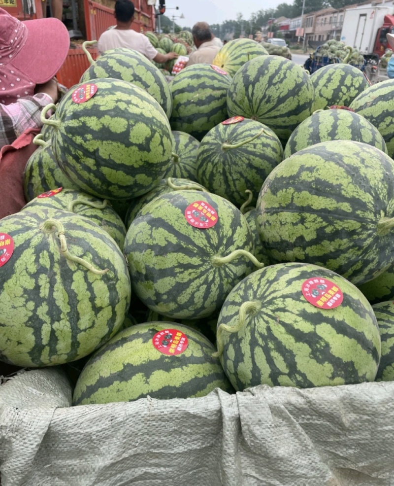 天津西瓜精品美都西瓜保甜保熟货源充足全国发货价