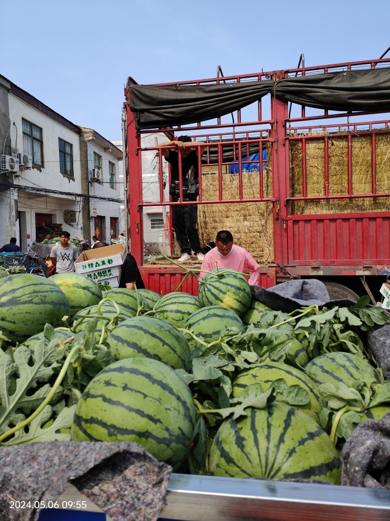 天津西瓜精品美都西瓜保甜保熟货源充足全国发货价