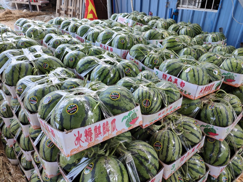 天津西瓜精品美都西瓜保甜保熟货源充足全国发货价