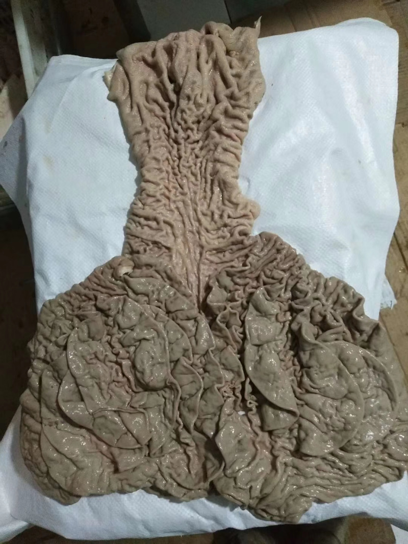 牛伞肚