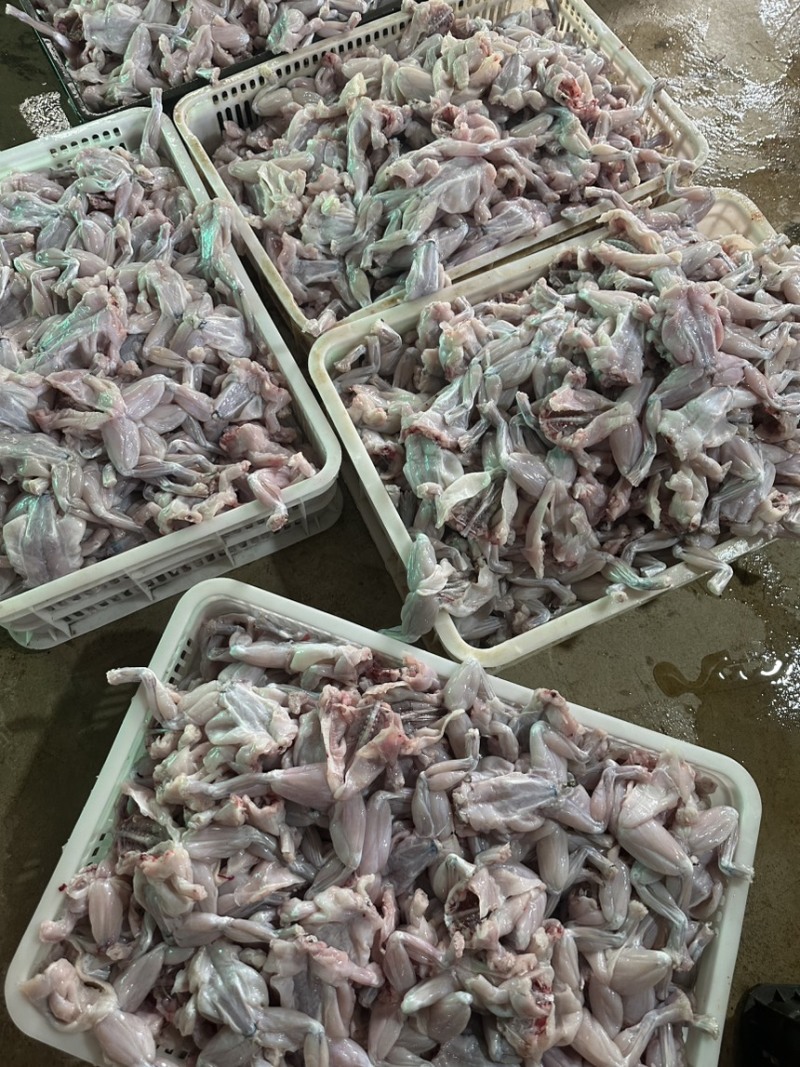 《牛商推荐》厂家直销批发牛蛙肉全部规格齐全质量保证