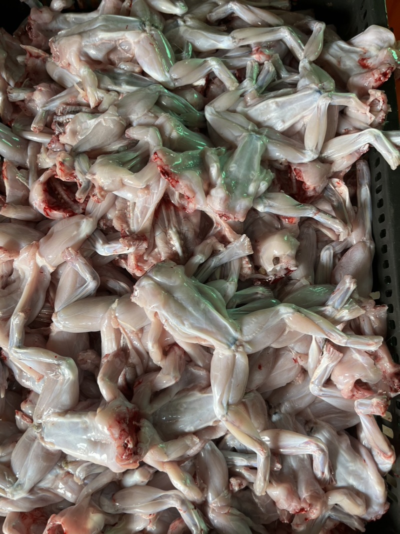 《牛商推荐》厂家直销批发牛蛙肉全部规格齐全质量保证