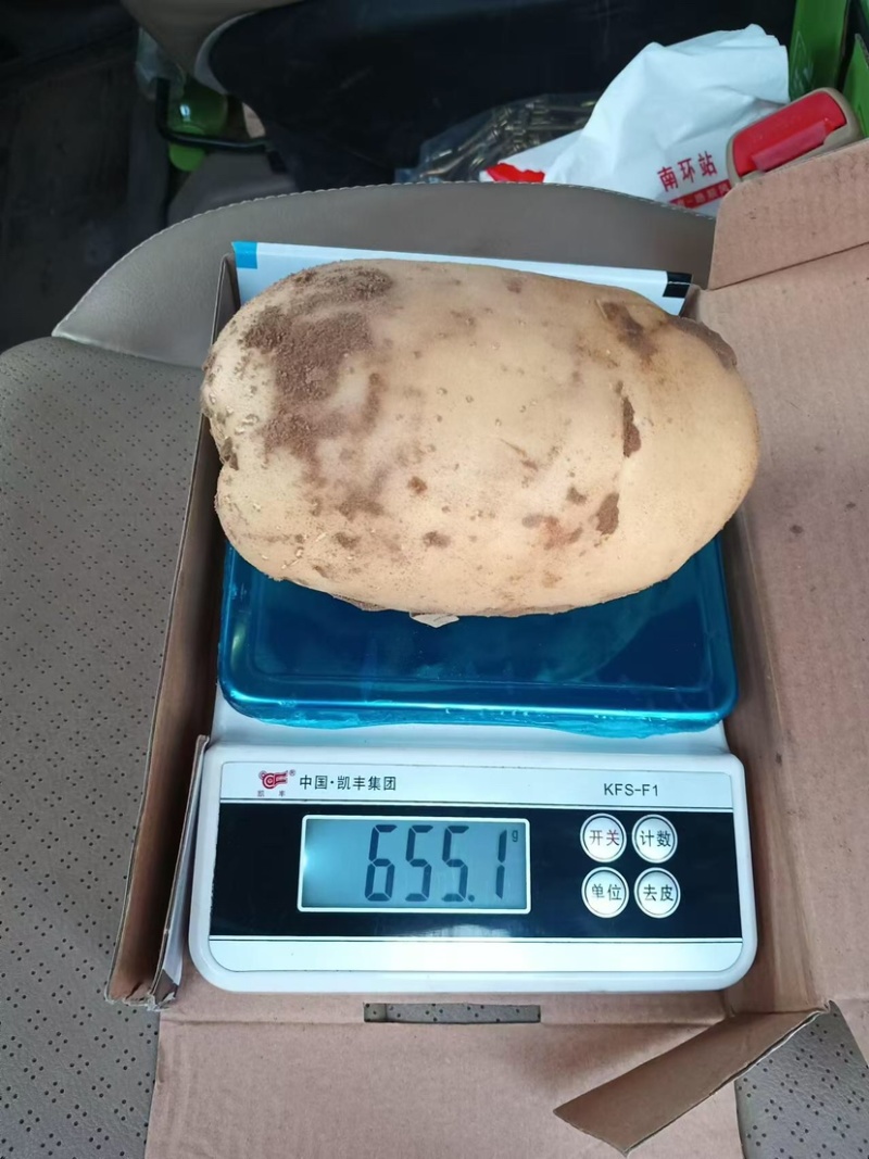 新土豆精品沃土5号大量上市质量保证价格不高