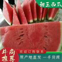 陕西蒲城县甜王西瓜大量上市，口感甜质量好保证质量代发全国