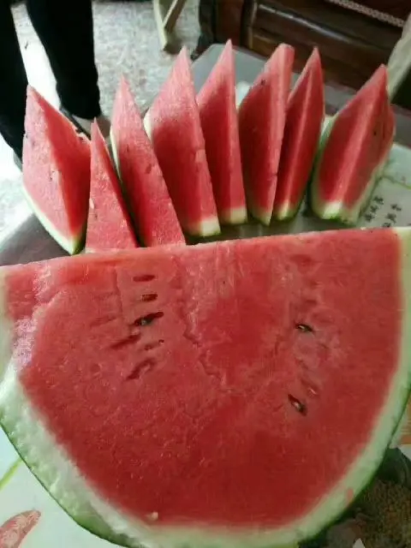 陕西蒲城县甜王西瓜大量上市，口感甜质量好保证质量代发全国