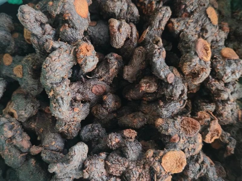 苗山姜型甜黄精鲜统货，九蒸九制规格干货