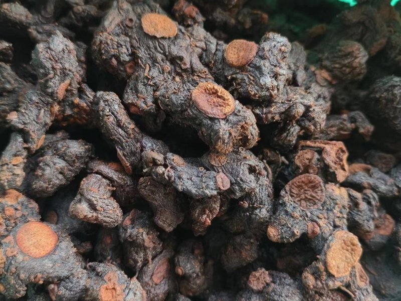 苗山姜型甜黄精鲜统货，九蒸九制规格干货