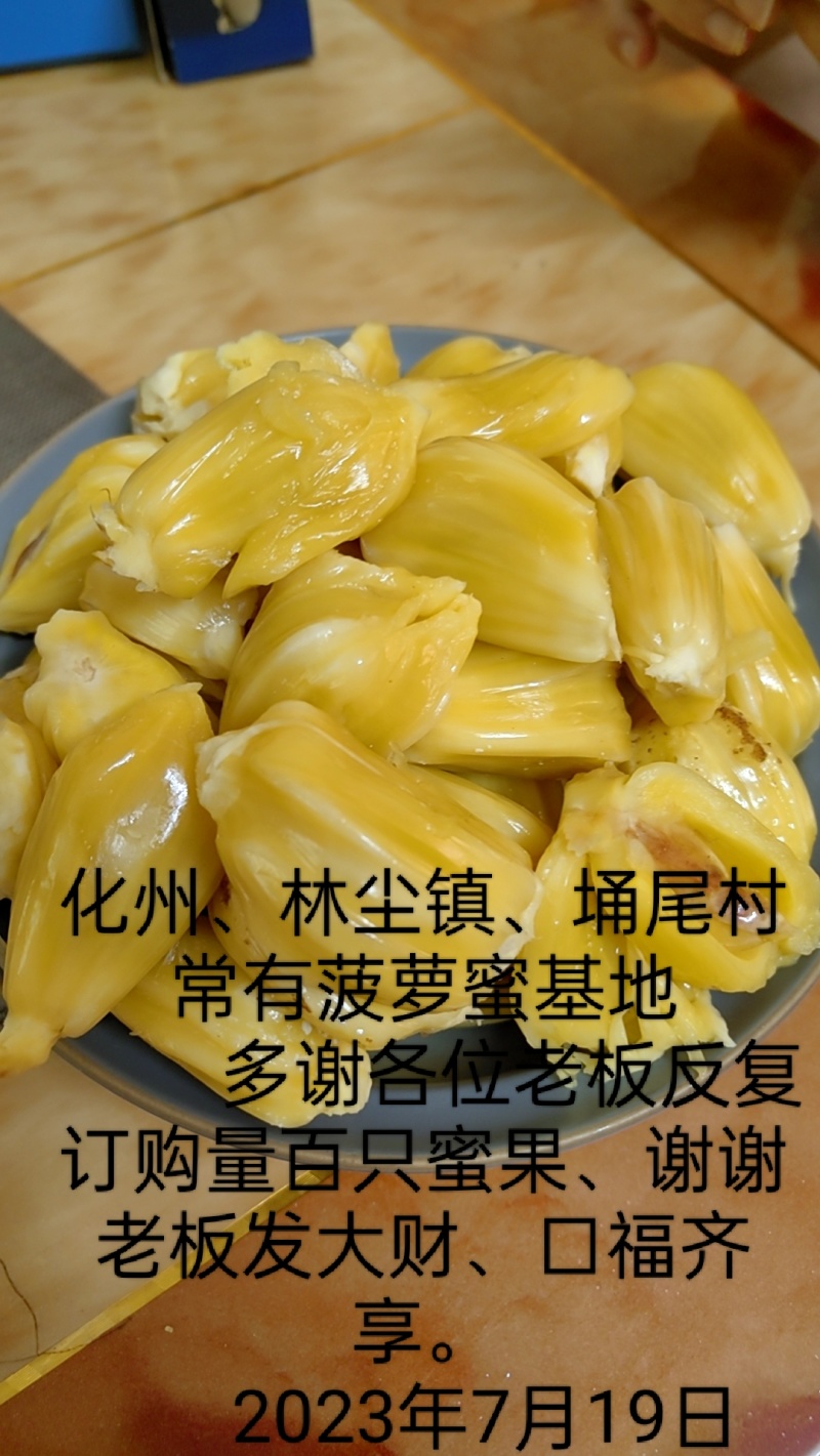 精品常有菠萝蜜鲜果珍珠菠萝蜜对接电商市场商超等各类客户