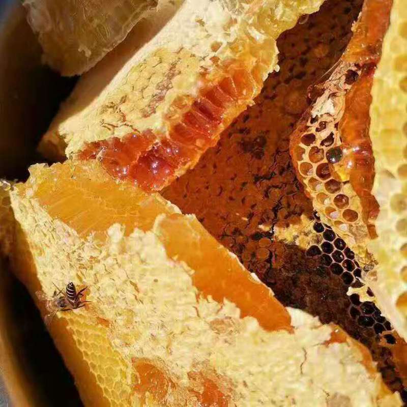 精品蜂蜜云南野生蜂蜜~树洞蜜量大从优欢迎咨询