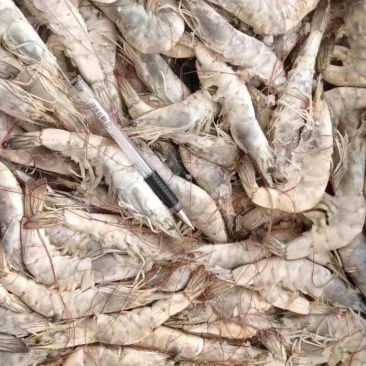 厄瓜多尔虾1.4Kg10盒南美白对虾王牌卡玛欧玛莎