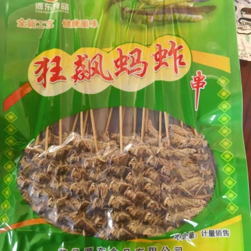 【油炸蚂蚱】蚂蚱串