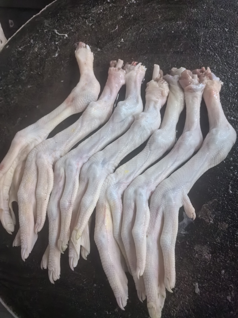 鹅掌，精品鹅掌，有二节，三节，不同节数，不同价格散养草鹅