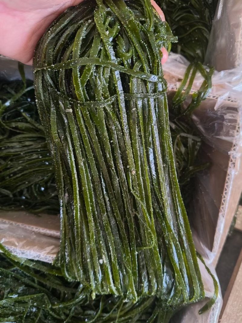 盐渍海带丝