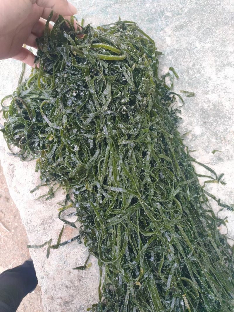 盐渍海带丝