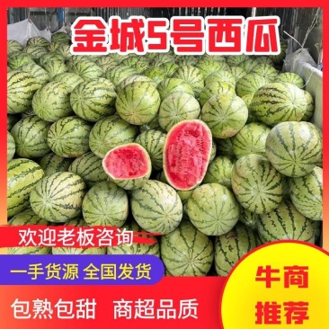 【推荐】宁夏金城5号西瓜，实力代办，口感好，量大从优。