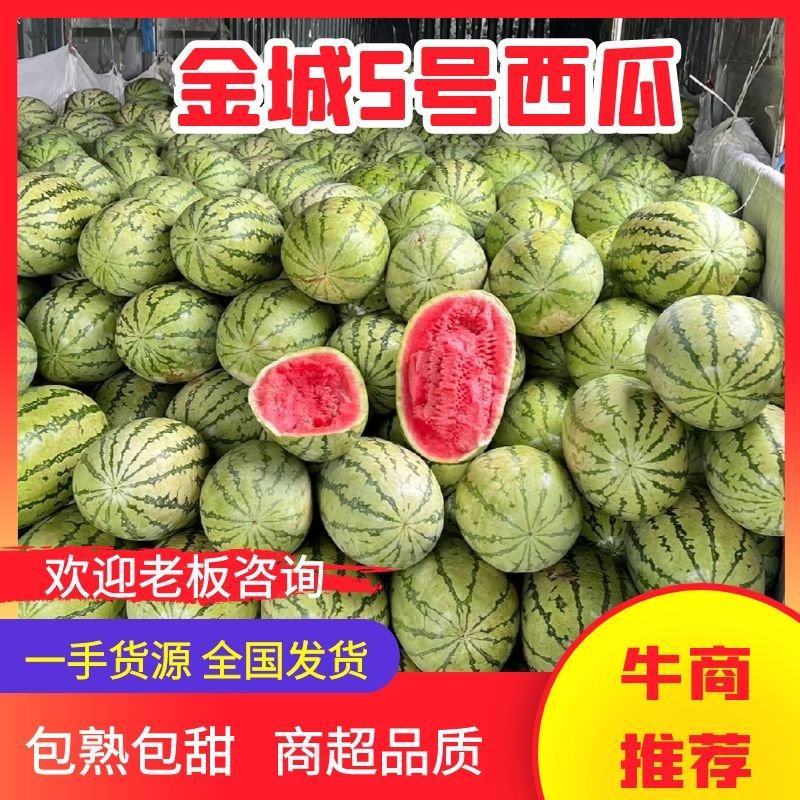 【推荐】宁夏金城5号西瓜，实力代办，口感好，量大从优。