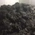 海带挂菜宽叶海带海带干海带皮干海带散菜一棵菜基地直接供货
