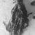 海带挂菜宽叶海带海带干海带皮干海带散菜一棵菜基地直接供货