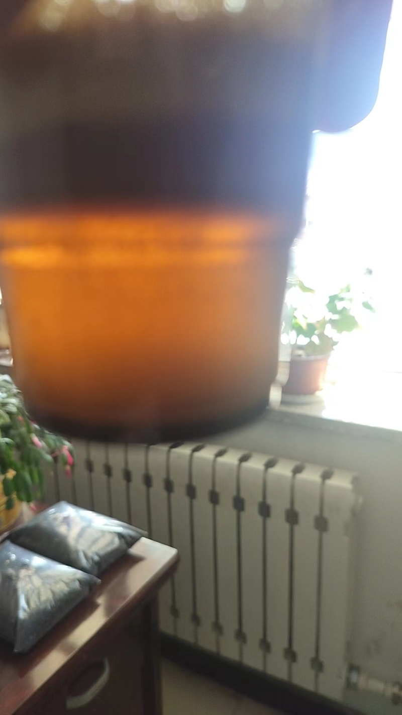 湖北优质油菜籽，供应油菜籽